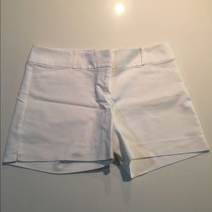 The Limited Shorts