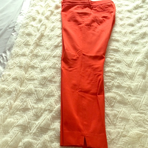 Slcan Fit Red pants
