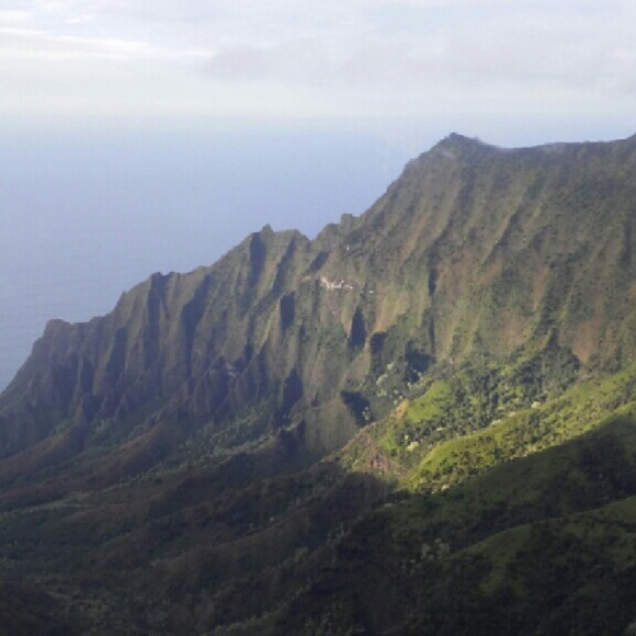 Meet your Posher, Joanne - Picture 2 of 4