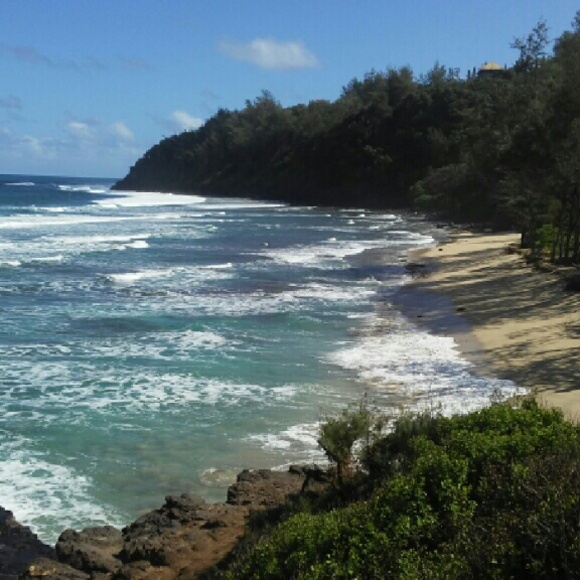 Meet your Posher, Joanne - Picture 3 of 4