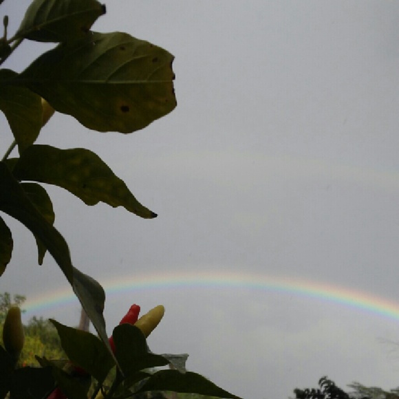 Meet your Posher, Joanne - Picture 4 of 4