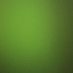 Meet your Posher, Randa