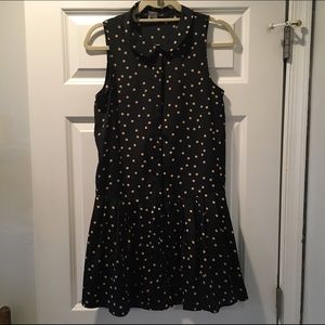 Zara Polka Dot Drop Waist Dress