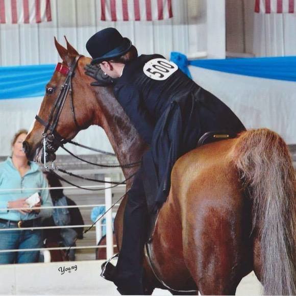 Meet your Posher, Alex - Picture 1 of 1