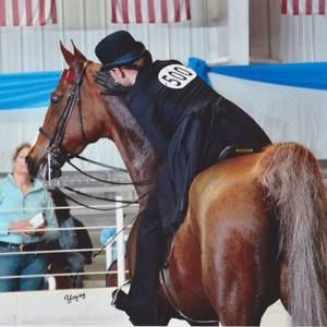 Meet your Posher, Alex