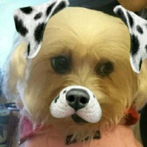 Meet your Posher, Johanna