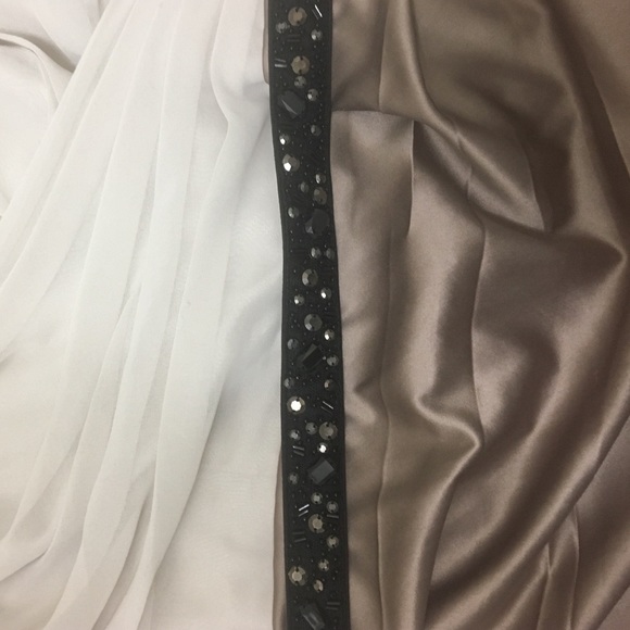 Express Dress - Picture 4 of 4