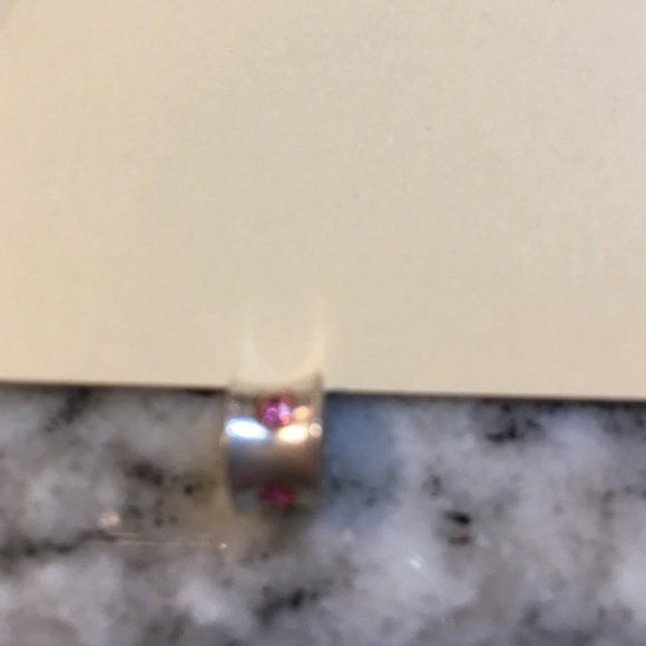 Pandora Charms - Picture 2 of 4