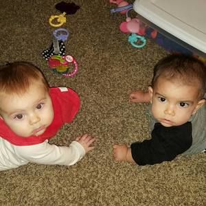 Meet your Posher, Robin