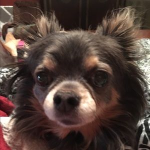 Meet your Posher, Tain