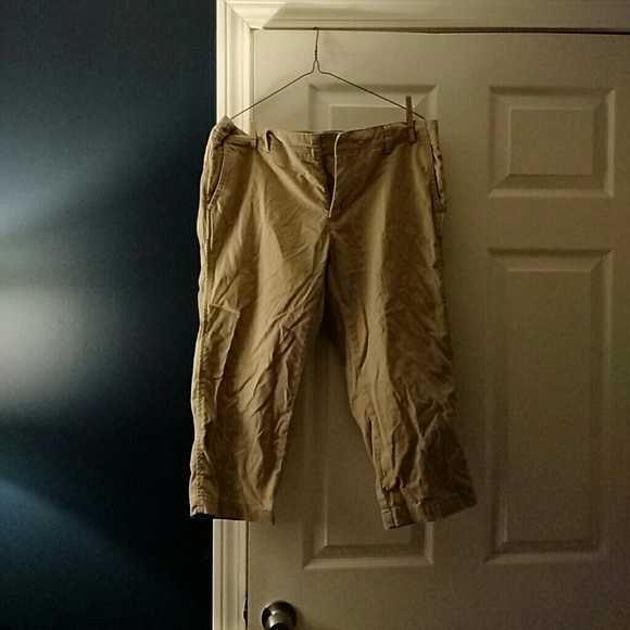 Gap Crops - Picture 1 of 1