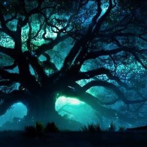 Meet your Posher, Starr