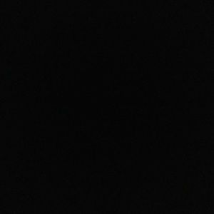 Meet your Posher, Alana