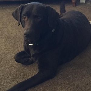 Meet your Posher, Sharon