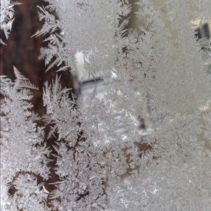 Meet your Posher, Bree