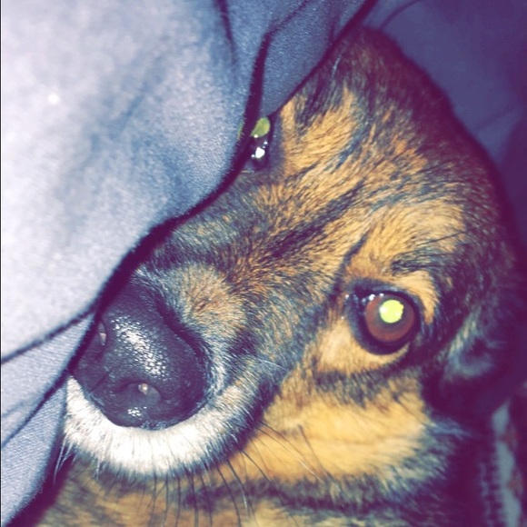 Meet your Posher, Jesse - Picture 1 of 1