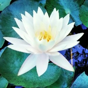 Meet your Posher, Annette