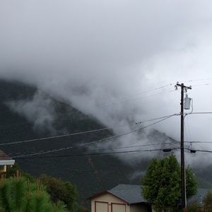 Meet your Posher, Tabitha