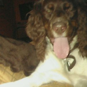 Meet your Posher, Nate