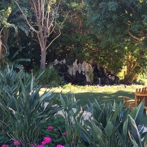 Meet your Posher, Shandy