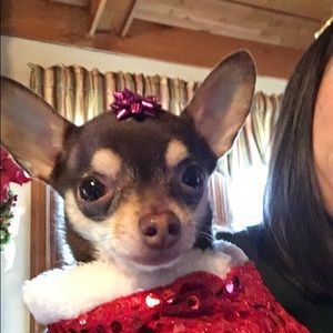 Meet your Posher, Melissa