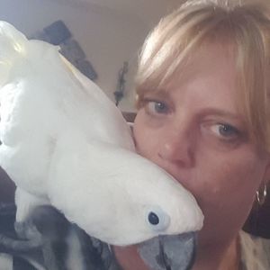 Meet your Posher, Kelley