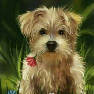 Meet your Posher, Fabiola