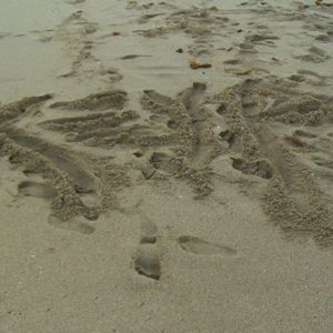 Meet your Posher, Keya