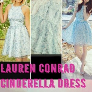 Lauren conrad cinderella dress