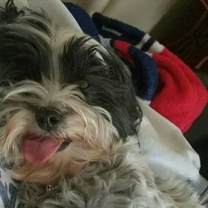 Meet your Posher, Aundrea