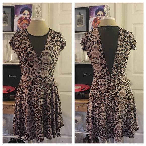 Sexy Leopard Cheetah Print Dress with Sheer Detail
