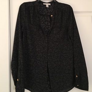 Grey and black cheetah