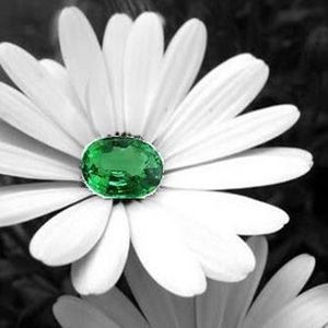 Meet your Posher, Levette