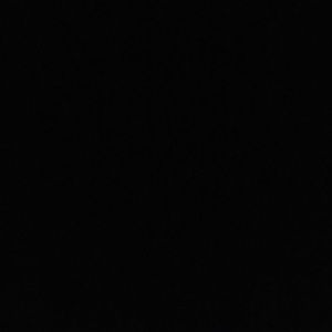 Meet your Posher, Carlie