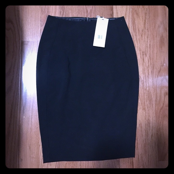 NWT high waisted skirt from the limited