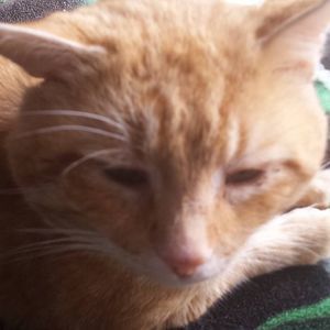 Meet your Posher, Yvonne