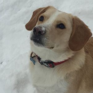 Meet your Posher, Karli