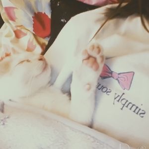 Meet your Posher, Alana