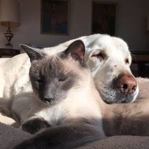 Meet your Posher, Denise