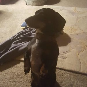 Meet your Posher, Karla