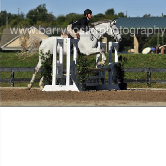 Meet your Posher, Abby - Picture 1 of 1