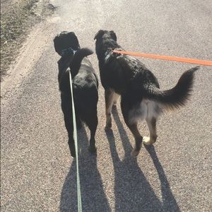 Meet your Posher, Riley