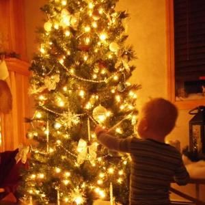 Meet your Posher, Bobbie