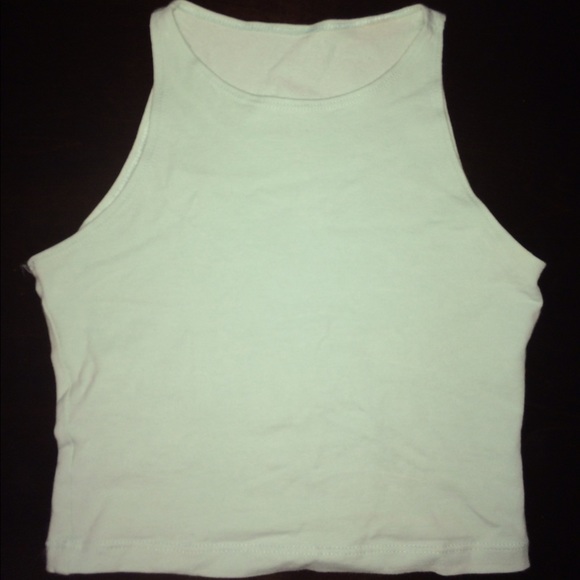 Fitted Crop Top