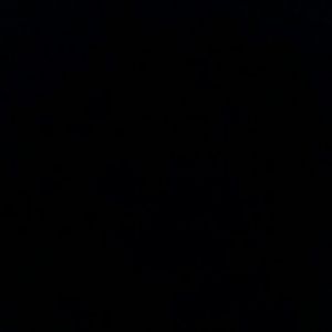 Meet your Posher, Kylee