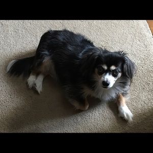 Meet your Posher, April