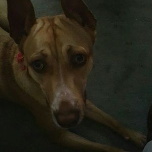 Meet your Posher, Beth-marie