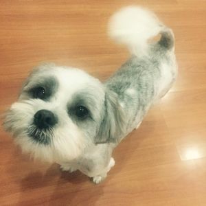 Meet your Posher, Edith