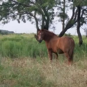 Meet your Posher, Courtney