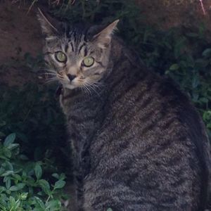 Meet your Posher, Mya